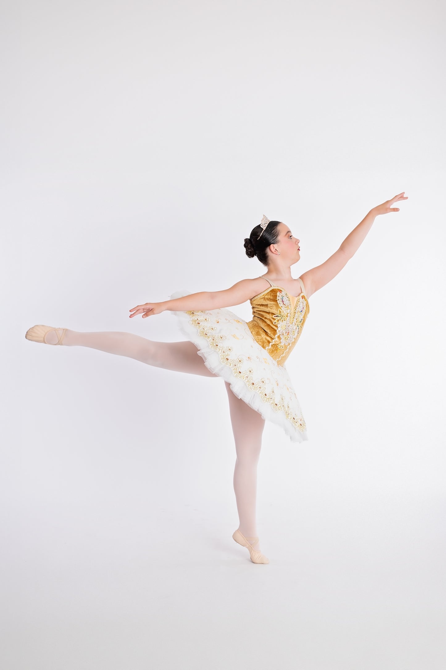 Gold & White Tutu Rental - Adult XS