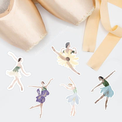 Narcissus (December) Ballerina Sticker